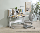 SingBee Aster 603 Desk